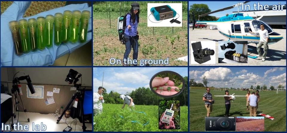 Collage of lab work, fieldwork and airborne data collection